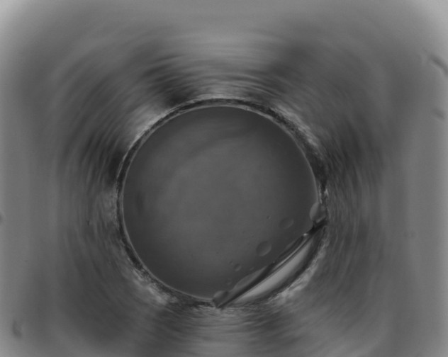 X0000096471121200801311528