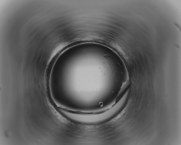 X0000096471122200801311528