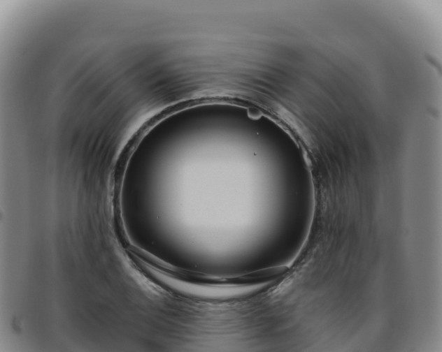 X0000096471124200801311528