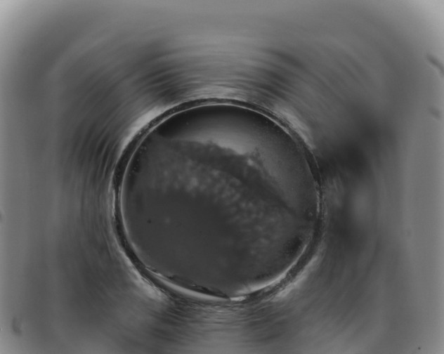 X0000096471125200801311528