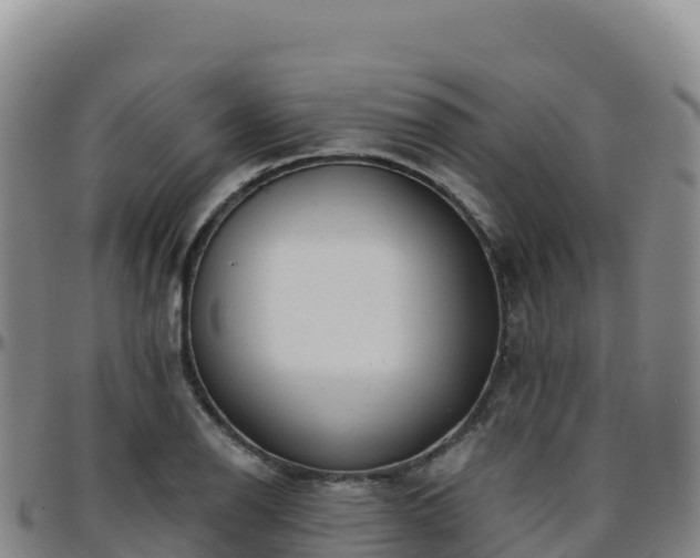 X0000096471126200801311528