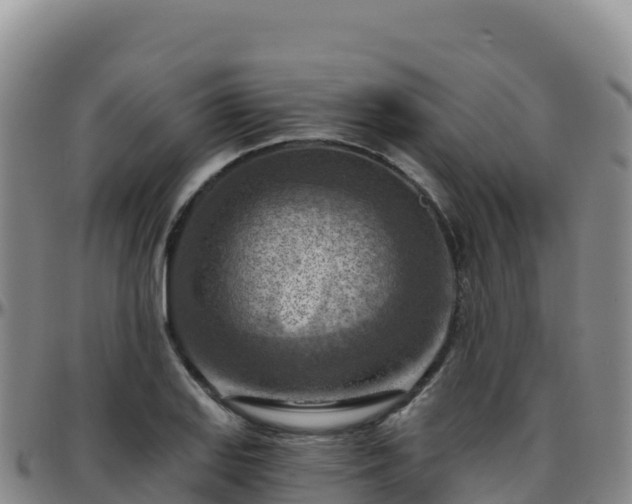 X0000096471127200801311528
