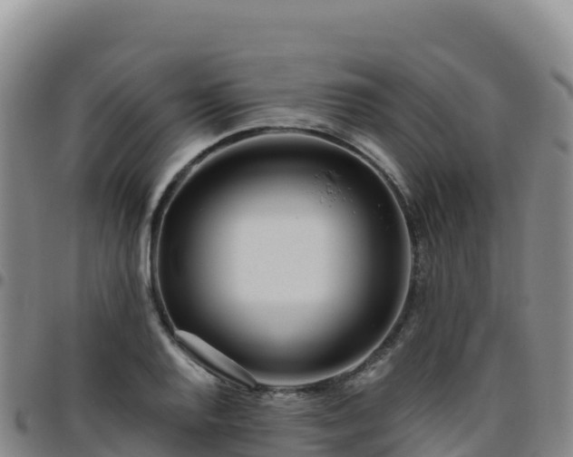 X0000096471128200801311528
