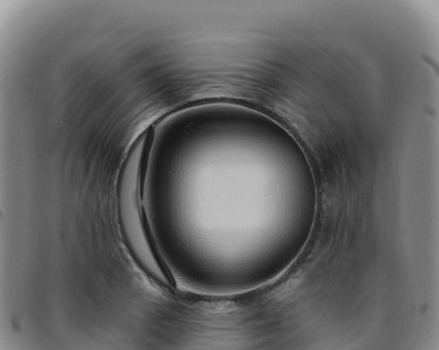 X0000096471129200801311528