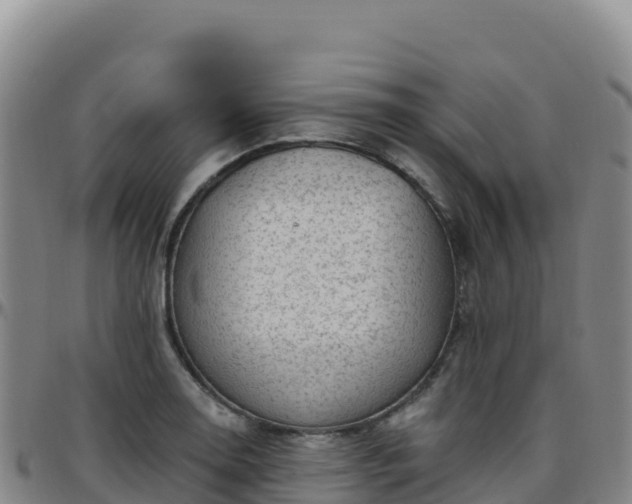 X0000096471130200801311528