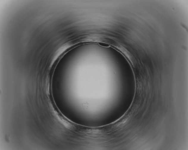 X0000096471131200801311528