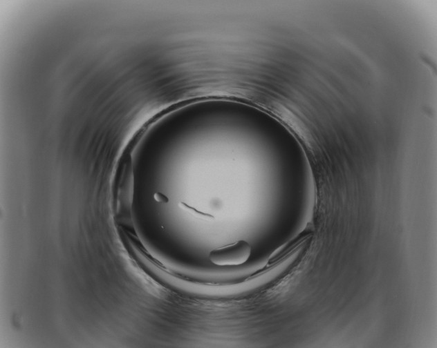 X0000096471132200801311528