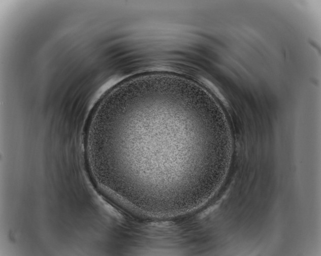 X0000096471133200801311528