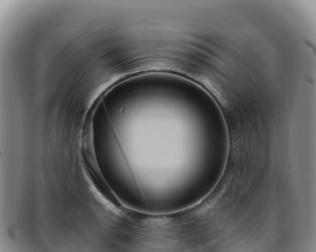 X0000096471134200801311528