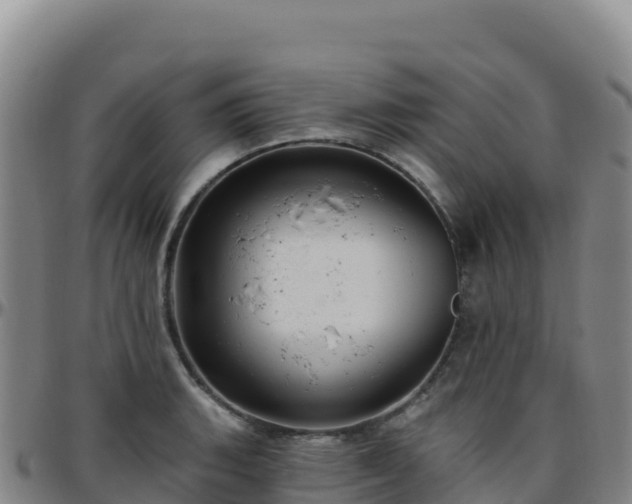 X0000096471135200801311528
