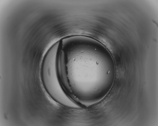 X0000096471136200801311528