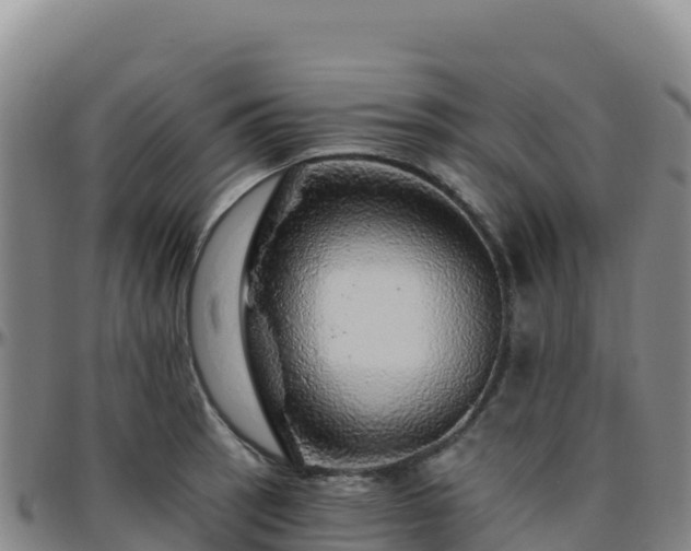X0000096471137200801311528
