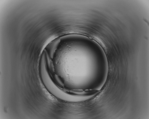 X0000096471138200801311528