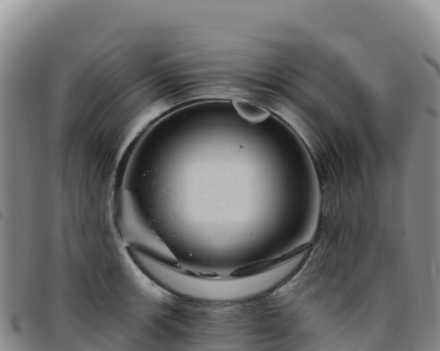 X0000096471139200801311528