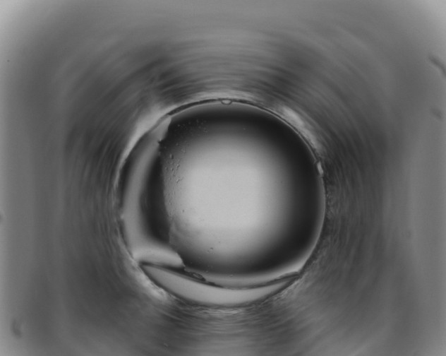 X0000096471140200801311528
