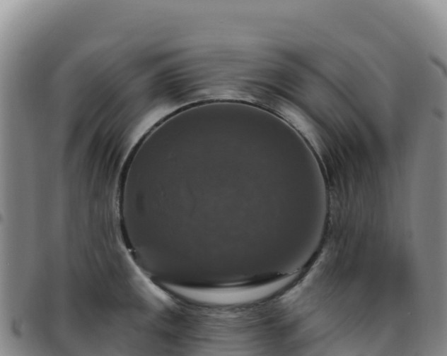 X0000096471141200801311528