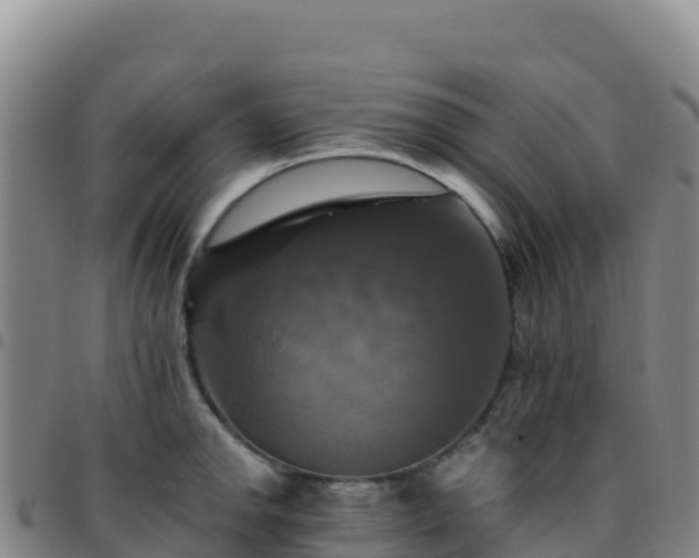 X0000096471142200801311528