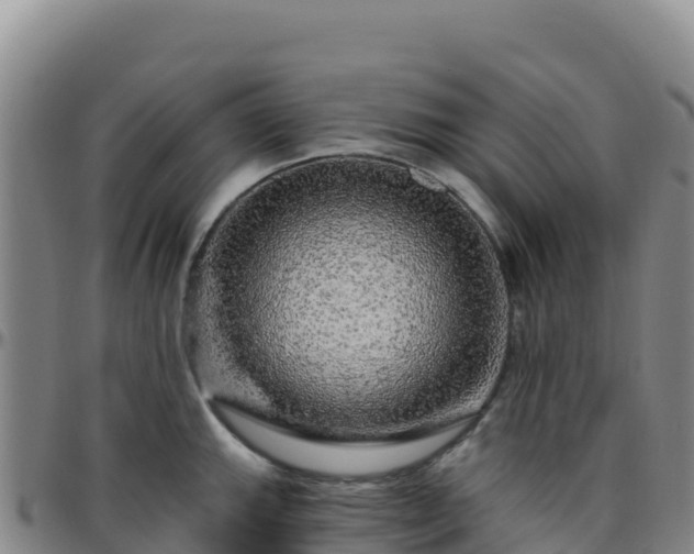 X0000096471143200801311528