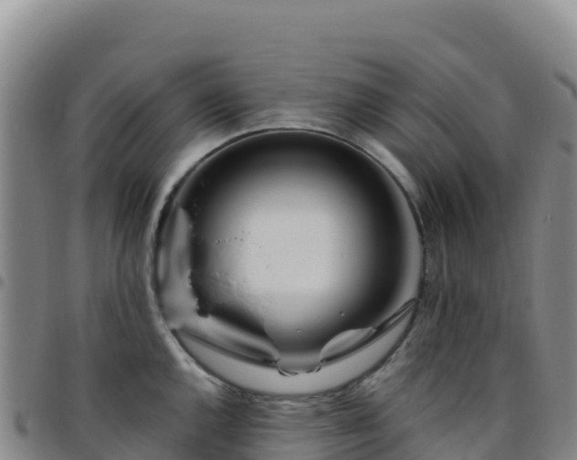 X0000096471144200801311528