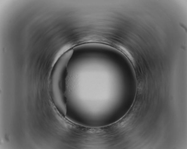 X0000096471146200801311528