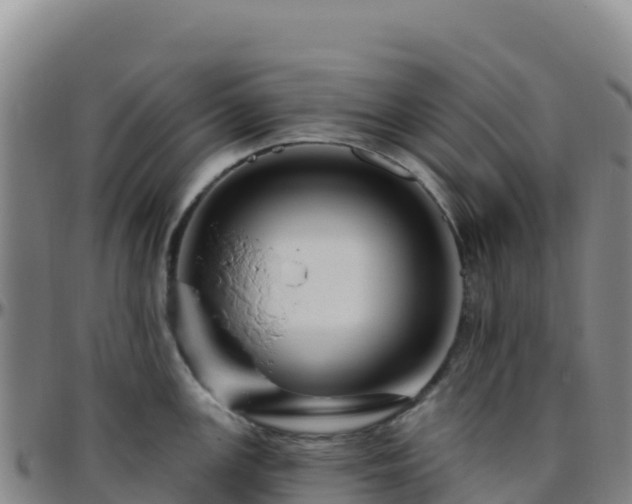 X0000096471147200801311529