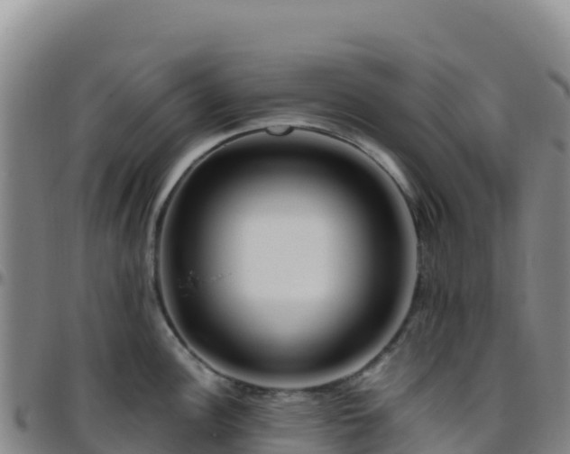 X0000096471148200801311529