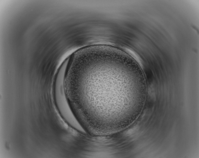 X0000096471149200801311529