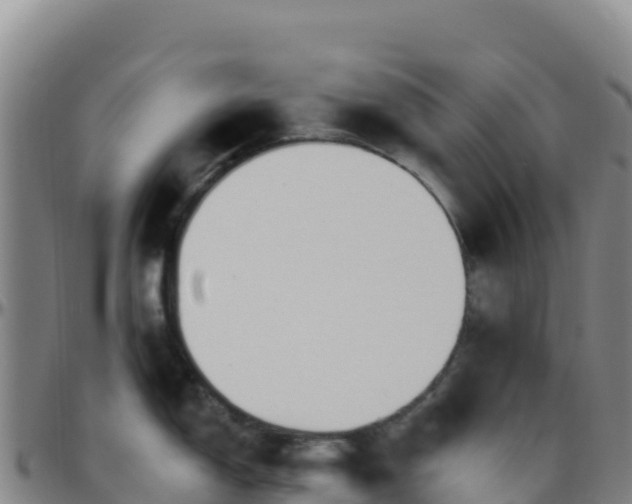 X0000096471150200801311529