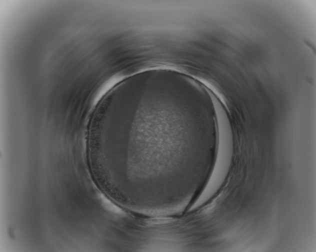 X0000096471151200801311529