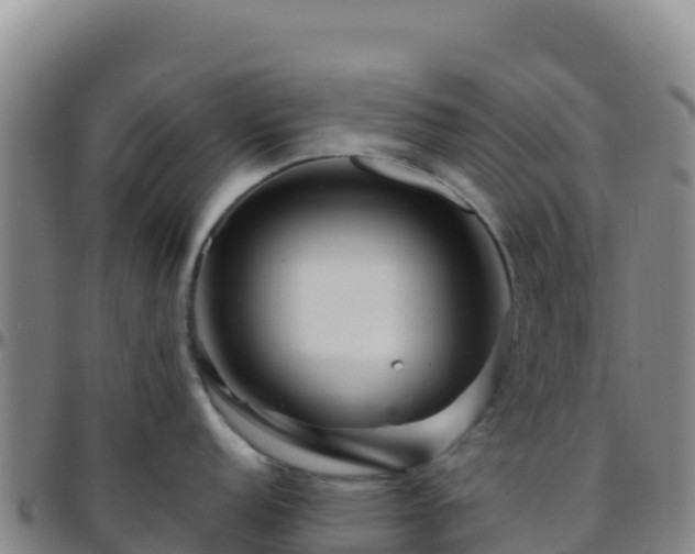 X0000096471152200801311529
