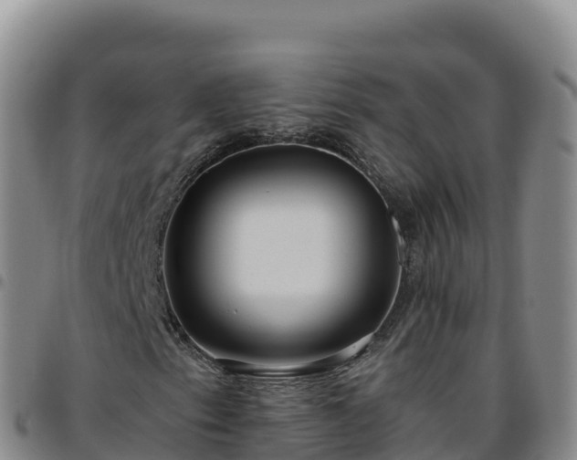 X0000096471153200801311528