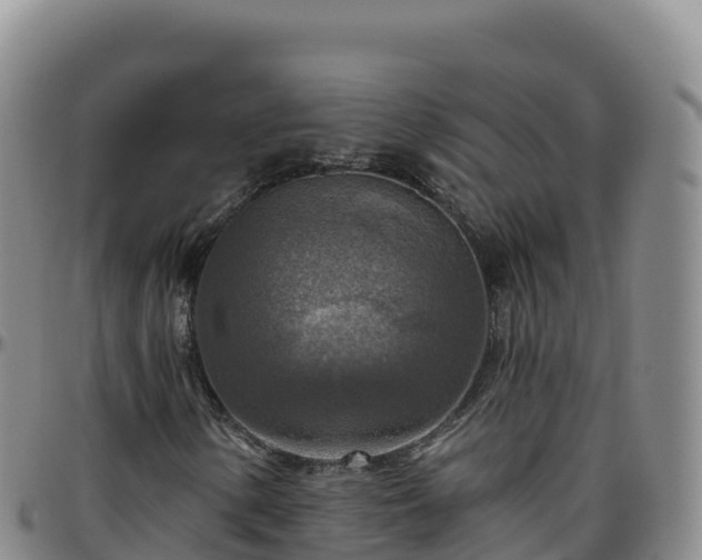 X0000096471154200801311528