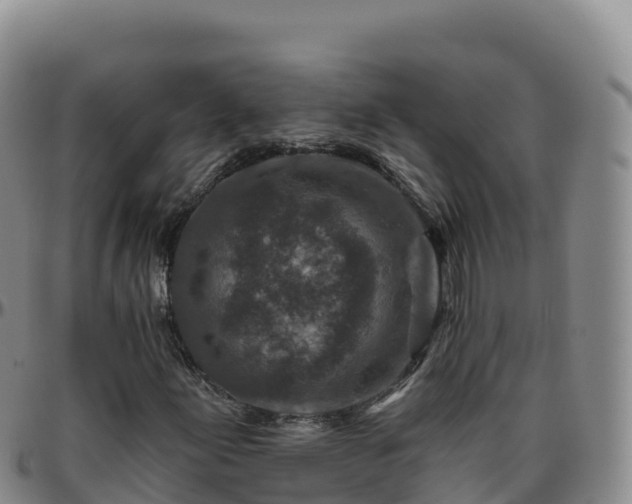 X0000096471155200801311528