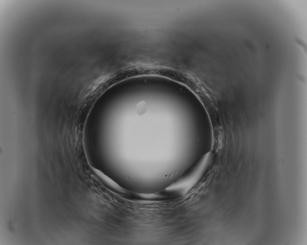 X0000096471157200801311528