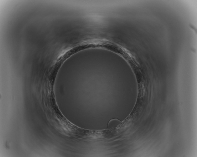 X0000096471158200801311528