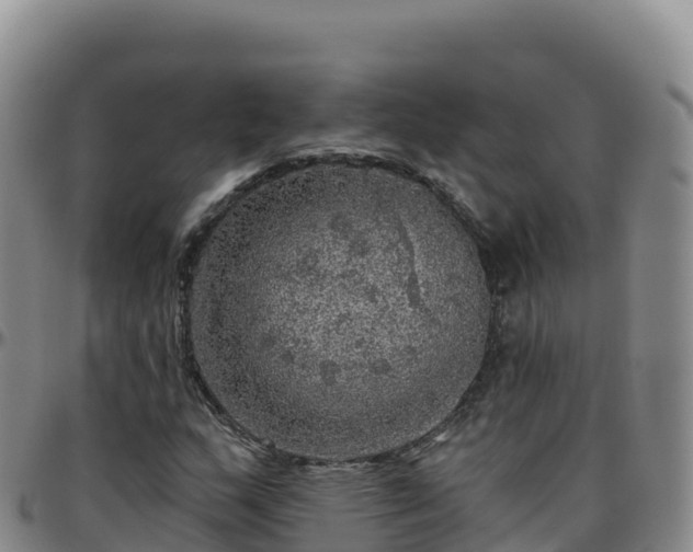 X0000096471159200801311528