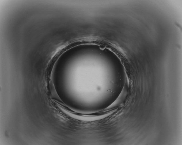 X0000096471160200801311528