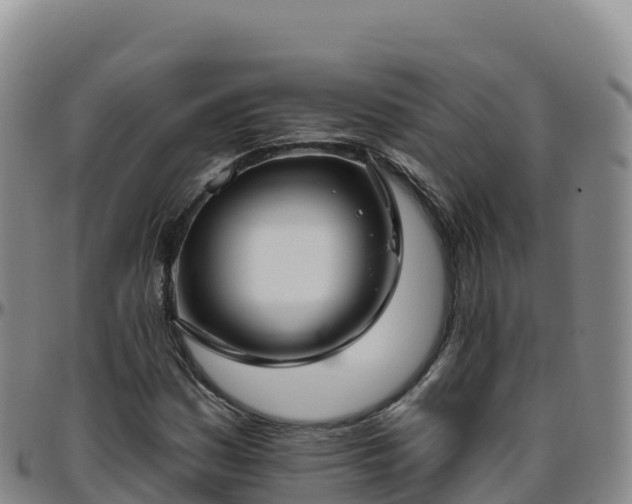 X0000096471161200801311528