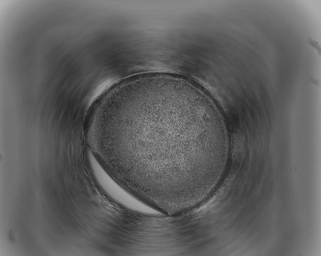X0000096471163200801311528