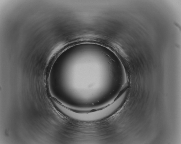 X0000096471164200801311528