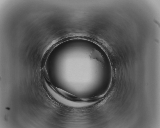 X0000096471165200801311528