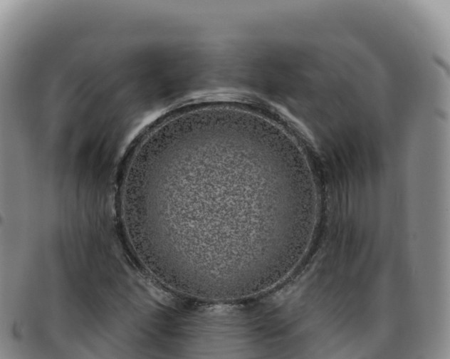 X0000096471166200801311528