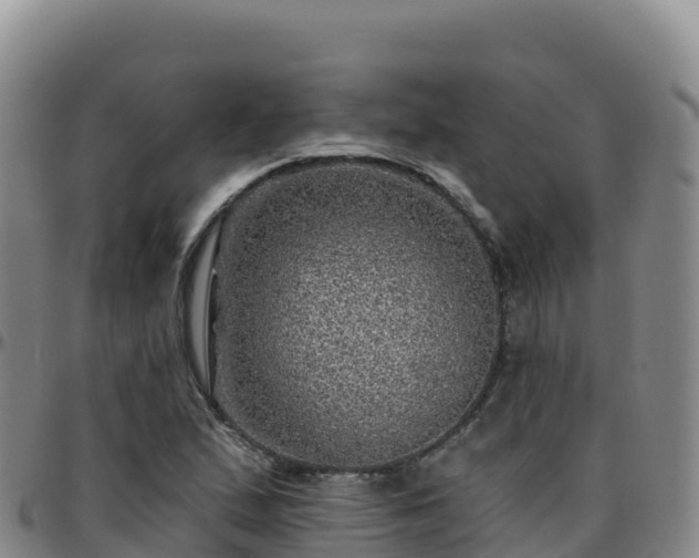 X0000096471167200801311528