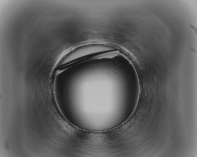 X0000096471168200801311528