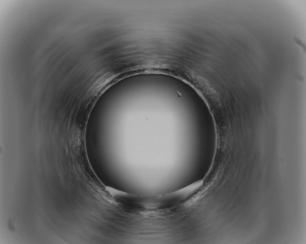X0000096471169200801311528