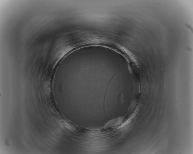 X0000096471170200801311528