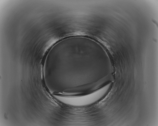 X0000096471171200801311528