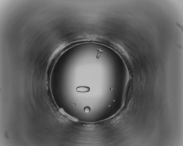 X0000096471172200801311528