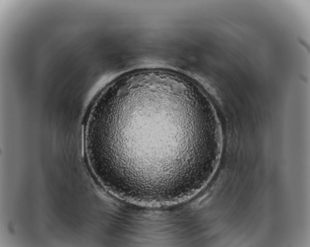 X0000096471175200801311528