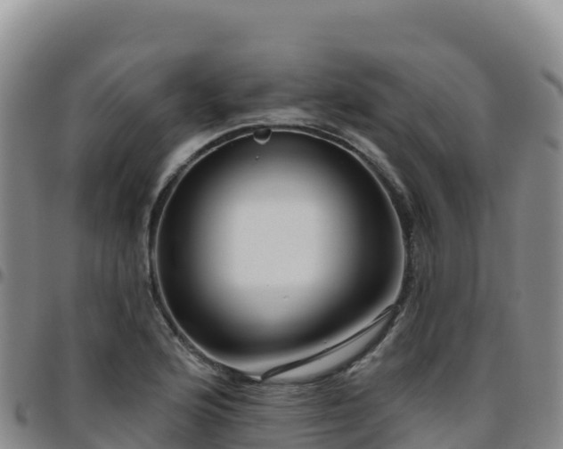 X0000096471176200801311528